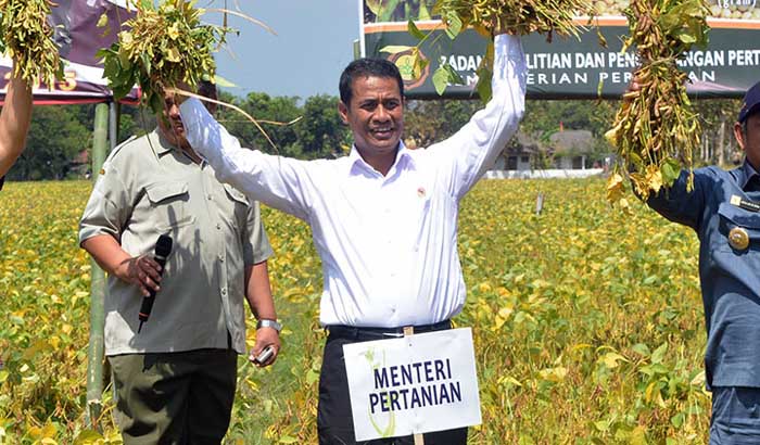 Bagimu Negeri: Importir Tanam Kedelai Dong! Jangan Impor Doang